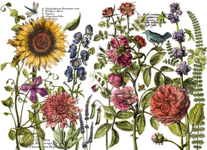 Botanist's Journal 12x16 Pad 4 Page Transfer