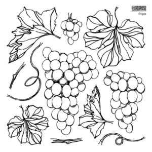 Grapes 12x12 Decor Stamps 1 sheet