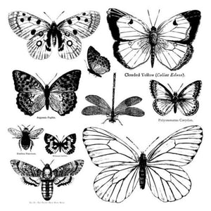 Butterflies 12x12 Decor Stamps 1 sheet